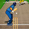 Cricket Championship 2008