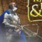 Knights Beasts N Magic