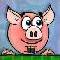 Piggy Wiggy
